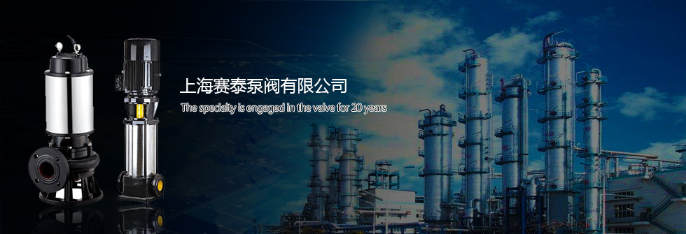 專業從事泵閥20年