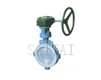 對夾式襯氟蝶閥縮略圖