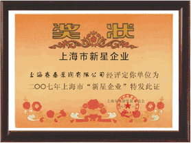 上海市新星企業