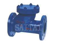 滑道滾球式止回閥縮略圖