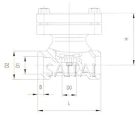 低溫止回閥結構圖