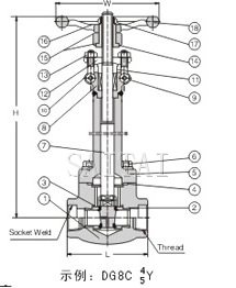 800磅螺栓閥蓋鍛鋼低溫截止閥螺栓閥蓋