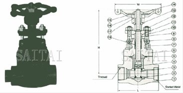 800磅鍛鋼放空導淋閥總裝圖