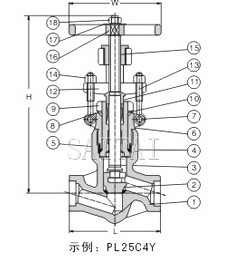 壓力自緊閥蓋鍛鋼截止閥結構圖