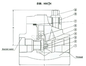  焊接閥蓋旋啟式鍛鋼止回閥 結構圖
