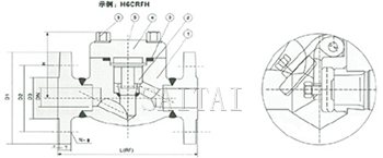 150-600Lb 旋啟式鍛鋼法蘭止回閥