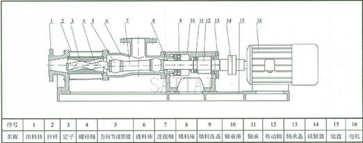 G型單螺杆泵結構