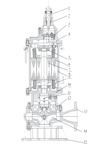 BQW防爆潛水泵結構簡圖