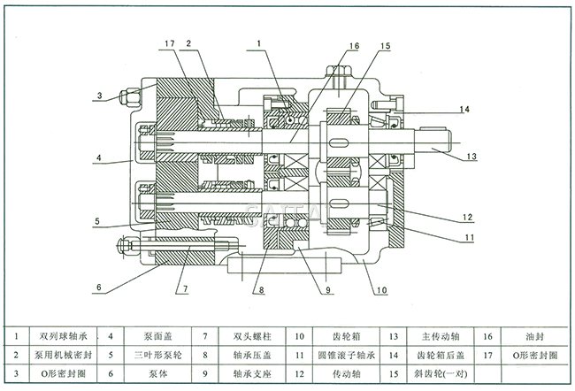 LQ3A型不鏽鋼轉子泵結構圖