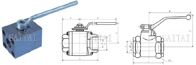 高壓內螺紋球閥 Q11N-100/320 C/P/R