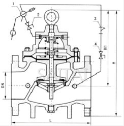 100D 定水位閥結構圖