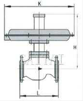 自力式差壓調節閥結構圖1