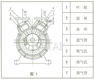 SZ係列水環式真空泵結構圖1